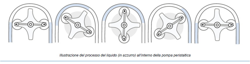 Illustrazione del processo del liquido (in azzurro) all’interno della pompa peristaltica