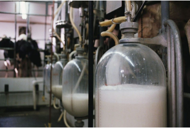 CATÁLOGO DE LECHE