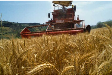 AGRICULTURA