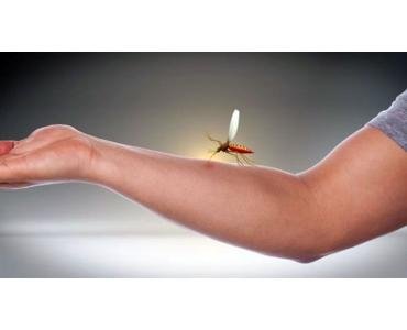 LA APLICACION DEL MES! BOMBAS DOSIFICADORAS PERISTALTICAS PARA LA DOSIFICACION DE ANTIMOSQUITOS E INSECTICIDAS